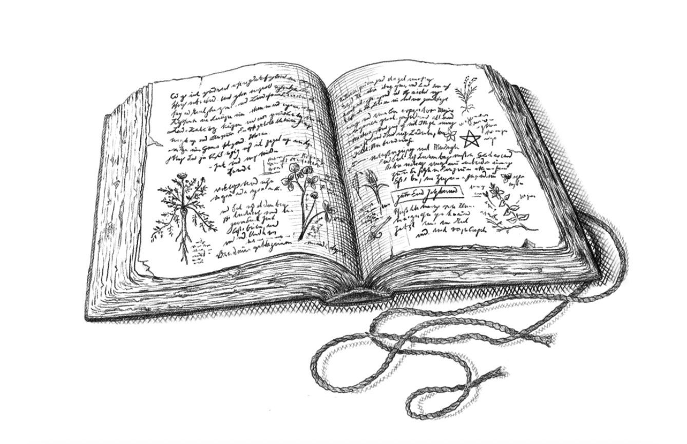 Bleistiftzeichnung eines aufgeschlagenen alten Buches mit handschriftlichen Notizen, gepressten Pflanzen und einem Drudenfuß-Symbol